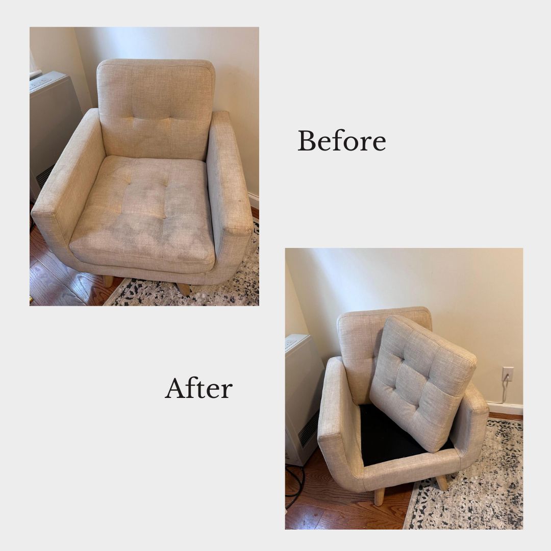 limpieza a vapor vs champú para sofá